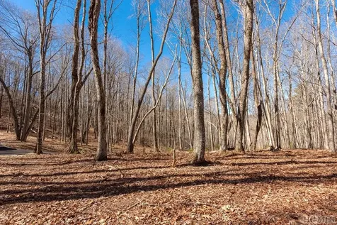 Lot C59 Lodge Woods Trail Glenville NC 28736