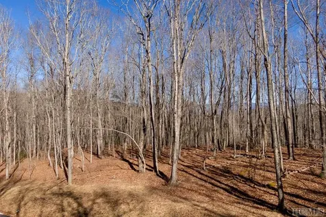 Lot C59 Lodge Woods Trail Glenville NC 28736