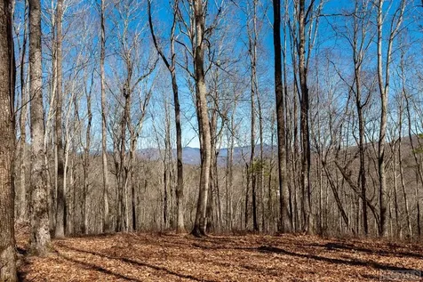 Lot C59 Lodge Woods Trail Glenville NC 28736