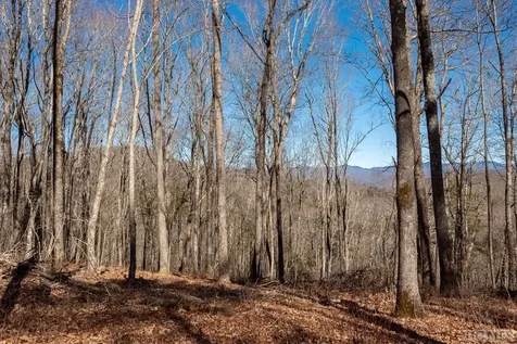 Lot C59 Lodge Woods Trail Glenville NC 28736