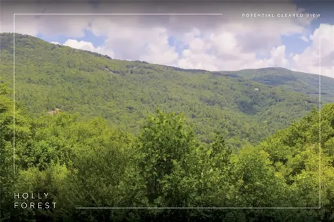 Lot 91 Bald Eagle Court Sapphire NC 28774