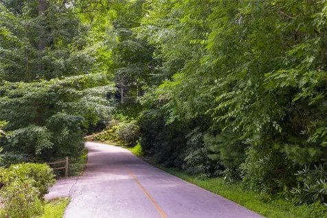 Lot 91 Bald Eagle Court Sapphire NC 28774