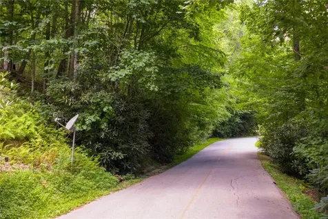 Lot 91 Bald Eagle Court Sapphire NC 28774