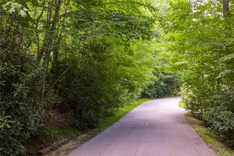 Lot 91 Bald Eagle Court Sapphire NC 28774