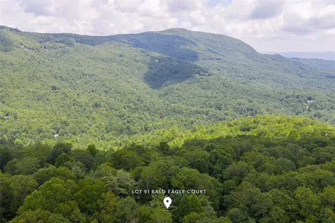 Lot 91 Bald Eagle Court Sapphire NC 28774