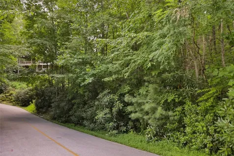 Lot 91 Bald Eagle Court Sapphire NC 28774