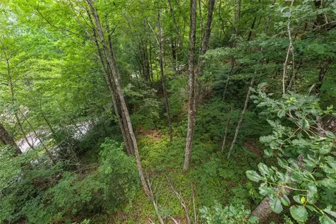 Lot 91 Bald Eagle Court Sapphire NC 28774