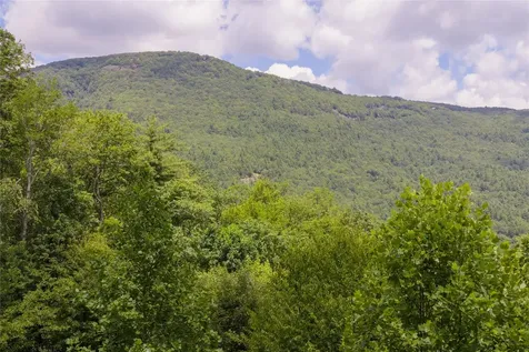 Lot 91 Bald Eagle Court Sapphire NC 28774