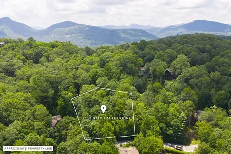 Lot 91 Bald Eagle Court Sapphire NC 28774