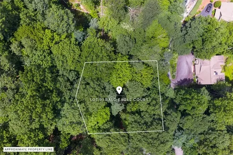Lot 91 Bald Eagle Court Sapphire NC 28774