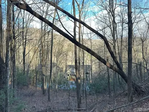 Lot 91 Bald Eagle Court Sapphire NC 28774