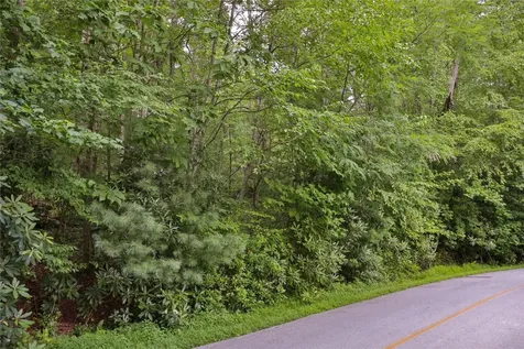 Lot 91 Bald Eagle Court Sapphire NC 28774