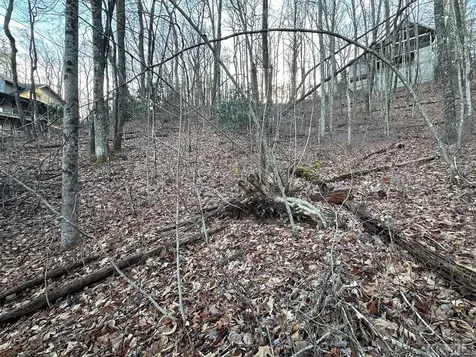 Lot 91 Bald Eagle Court Sapphire NC 28774