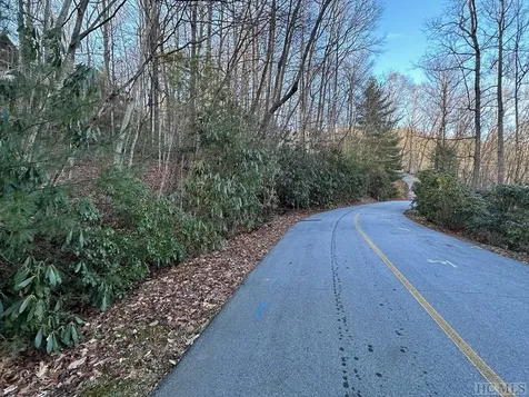 Lot 91 Bald Eagle Court Sapphire NC 28774