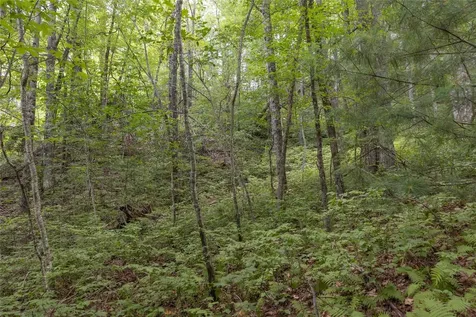 Lot 91 Bald Eagle Court Sapphire NC 28774