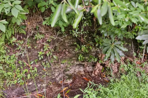 Lot 91 Bald Eagle Court Sapphire NC 28774