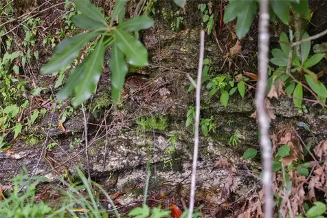 Lot 91 Bald Eagle Court Sapphire NC 28774