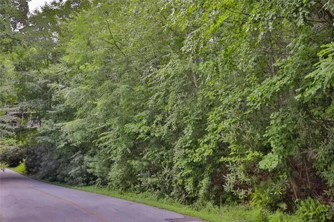 Lot 91 Bald Eagle Court Sapphire NC 28774