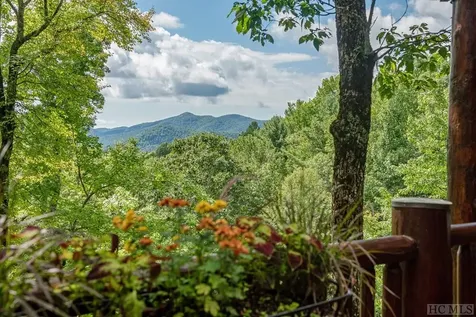 1446 E Bald Rock Sapphire NC 28774