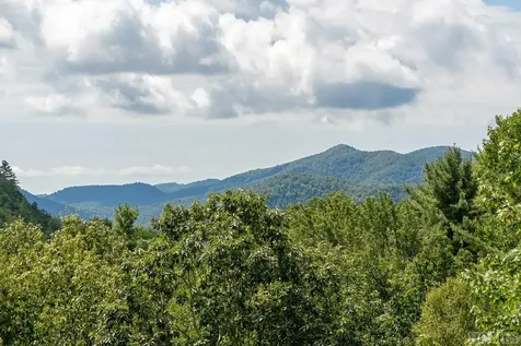 1446 E Bald Rock Sapphire NC 28774