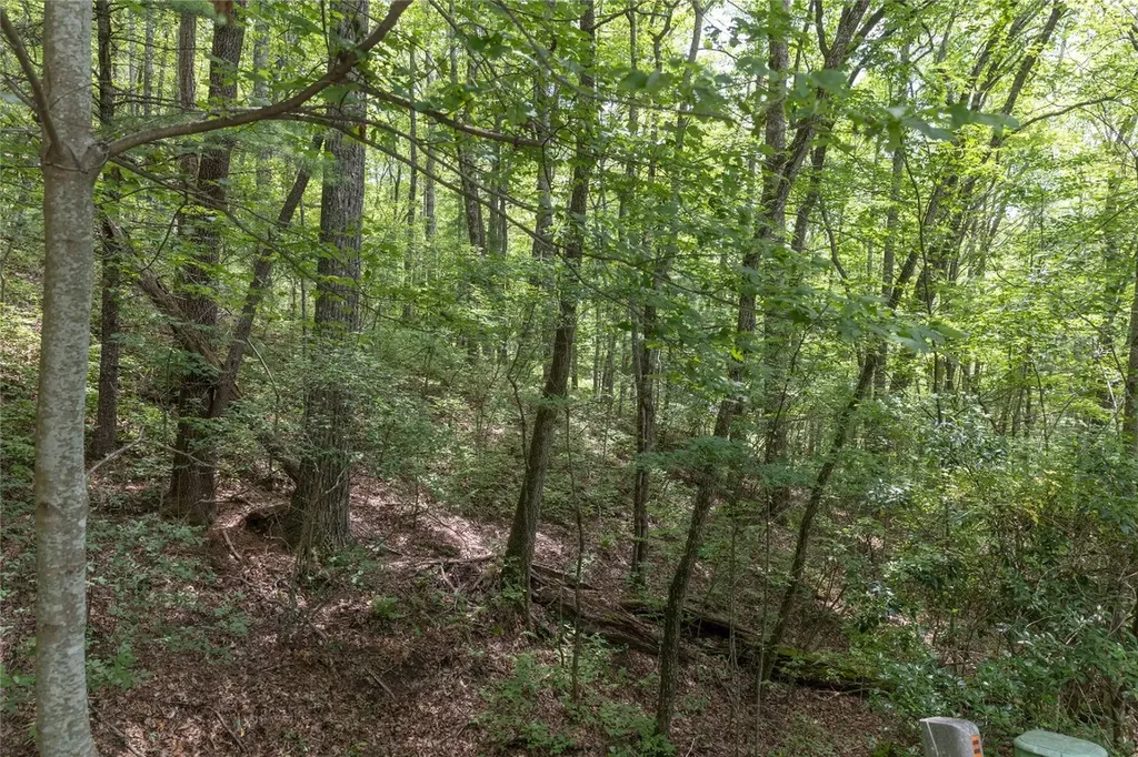 Lot 35 Buckberry Drive North Sapphire NC 28774