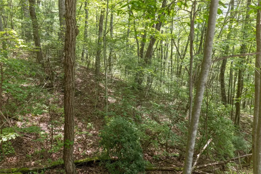 Lot 35 Buckberry Drive North Sapphire NC 28774