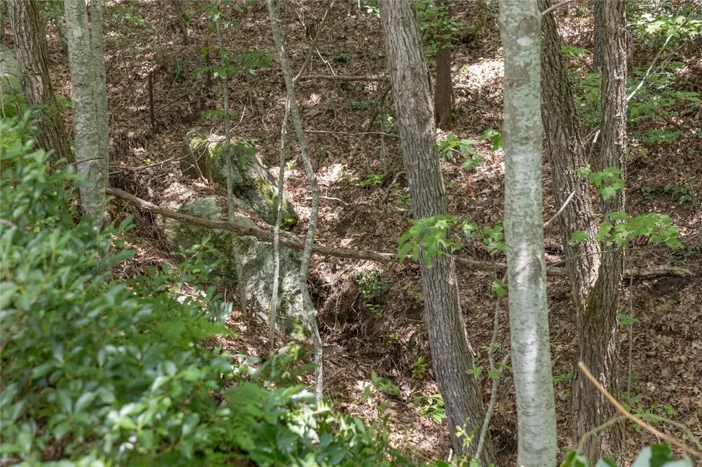 Lot 35 Buckberry Drive North Sapphire NC 28774