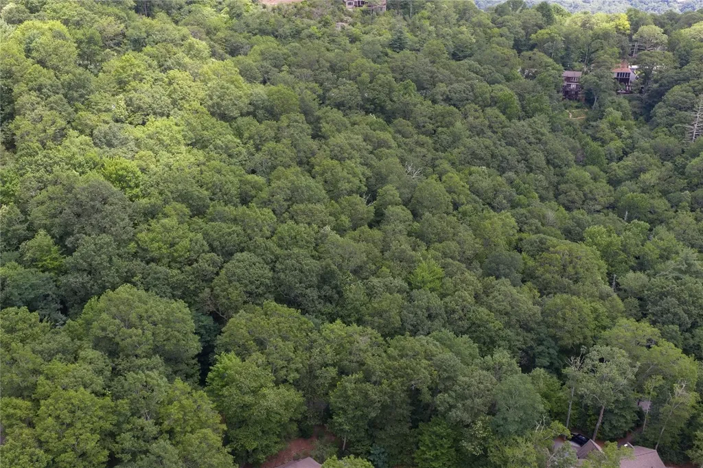 Lot 35 Buckberry Drive North Sapphire NC 28774