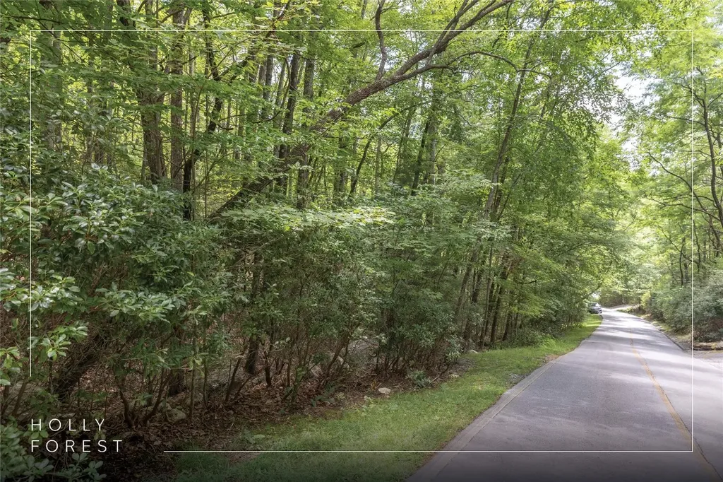 Lot 35 Buckberry Drive North Sapphire NC 28774