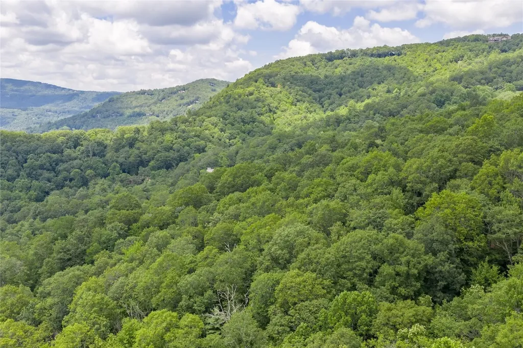 Lot 35 Buckberry Drive North Sapphire NC 28774