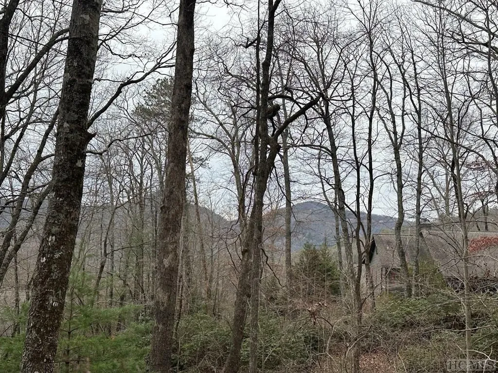 Lot 35 Buckberry Drive North Sapphire NC 28774