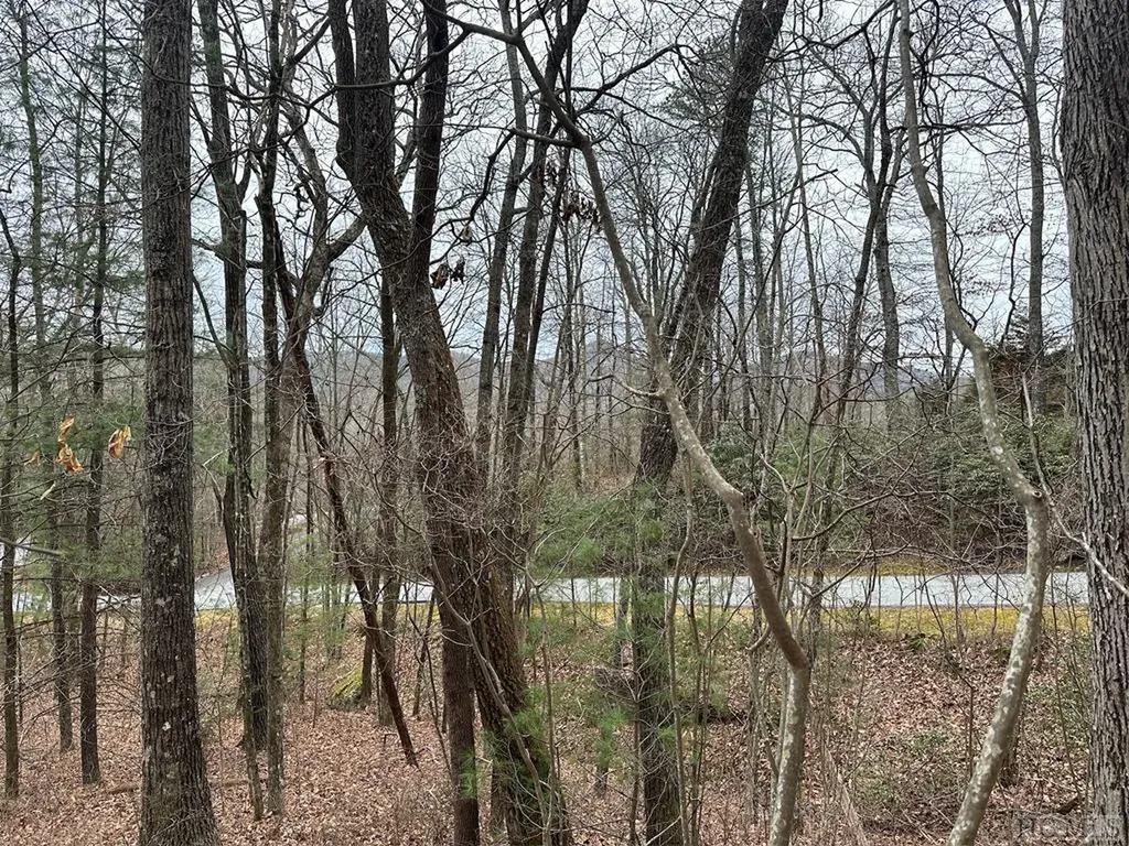 Lot 35 Buckberry Drive North Sapphire NC 28774