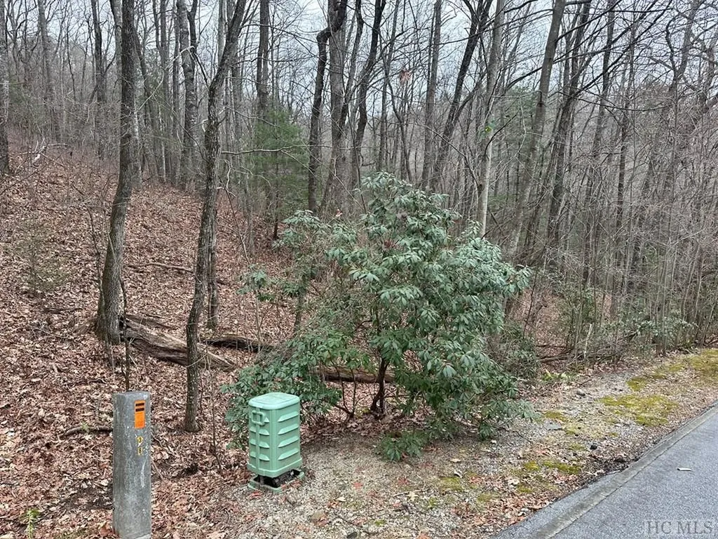 Lot 35 Buckberry Drive North Sapphire NC 28774