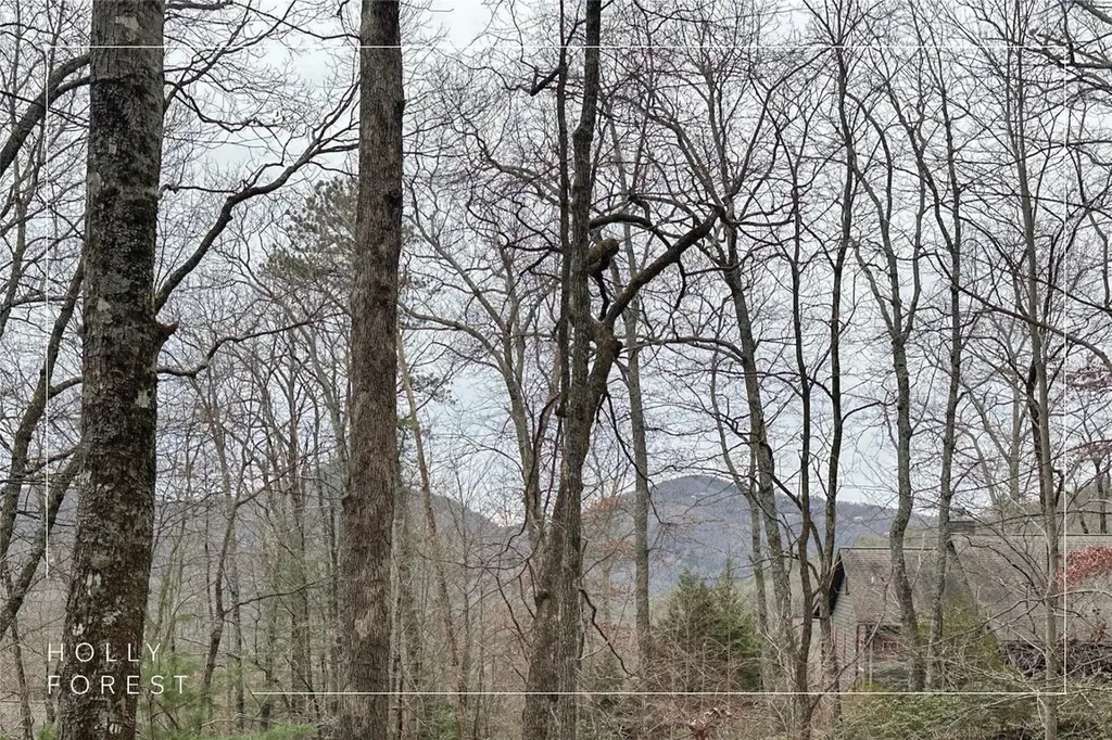 Lot 35 Buckberry Drive North Sapphire NC 28774