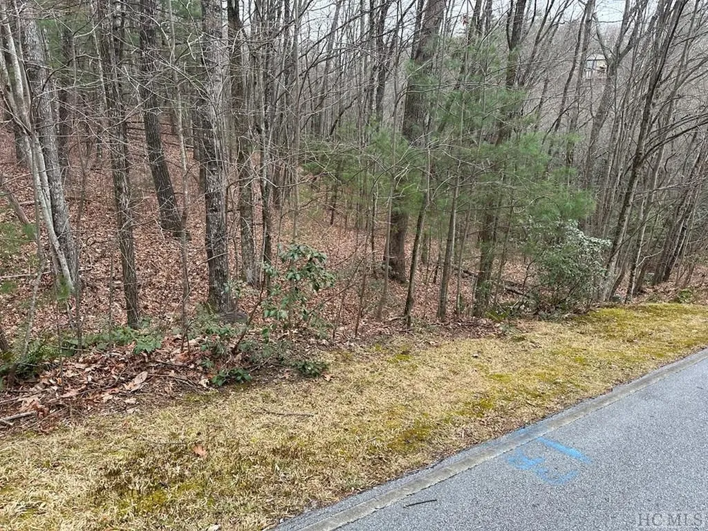 Lot 35 Buckberry Drive North Sapphire NC 28774