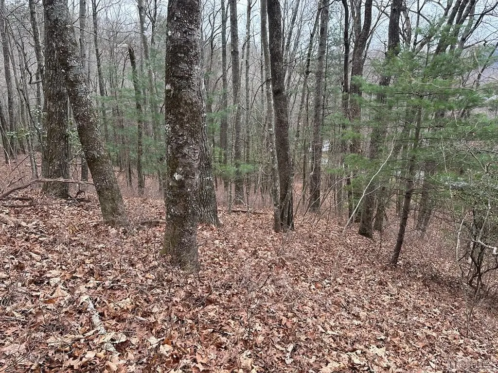 Lot 35 Buckberry Drive North Sapphire NC 28774