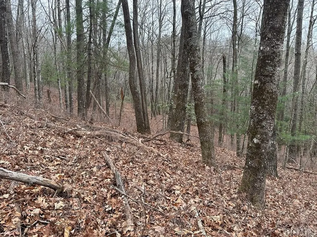 Lot 35 Buckberry Drive North Sapphire NC 28774