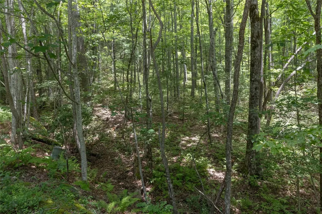 Lot 35 Buckberry Drive North Sapphire NC 28774