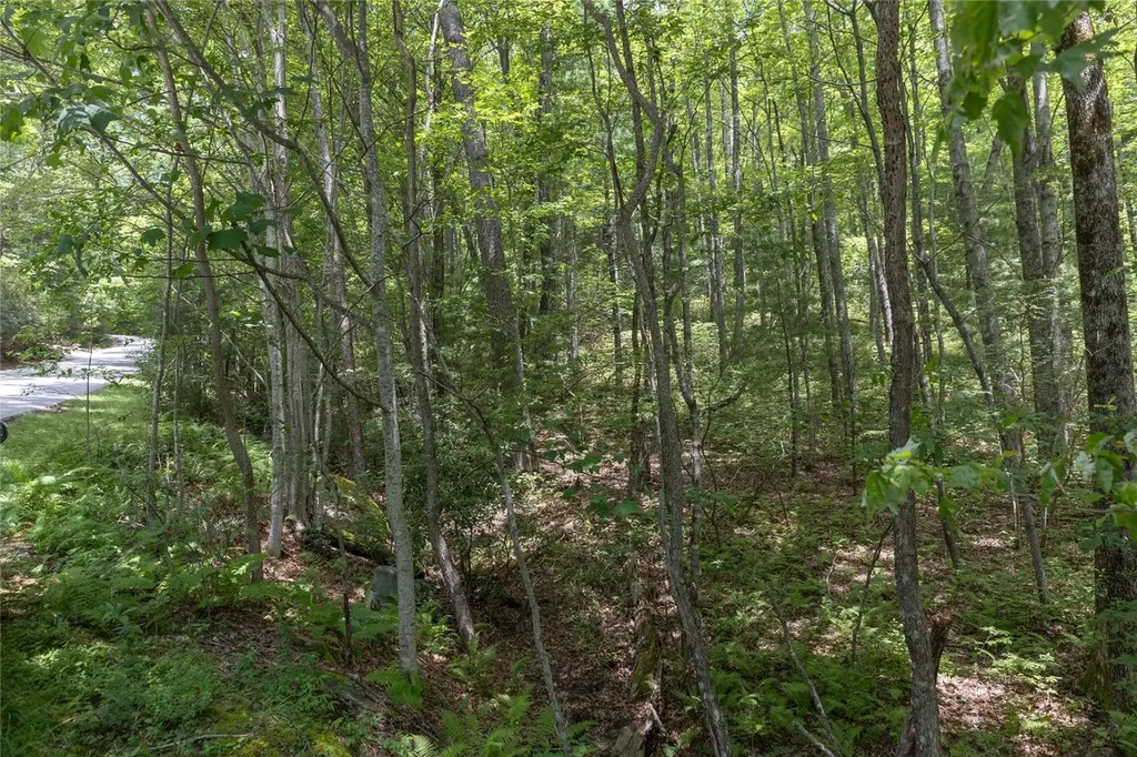 Lot 35 Buckberry Drive North Sapphire NC 28774