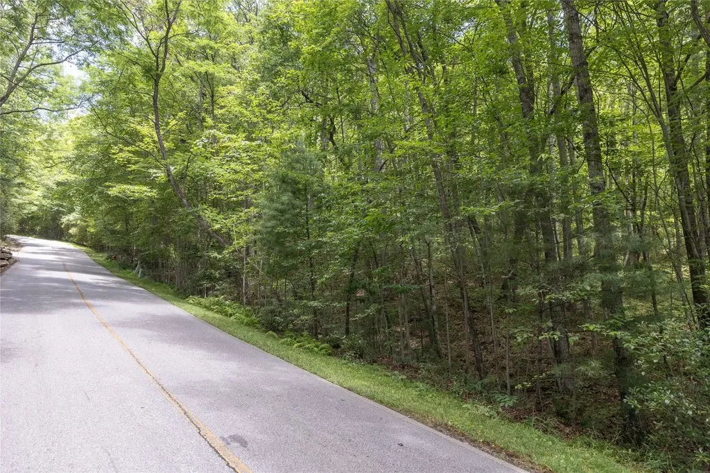 Lot 35 Buckberry Drive North Sapphire NC 28774