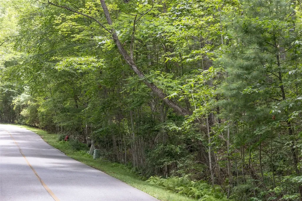 Lot 35 Buckberry Drive North Sapphire NC 28774