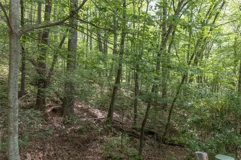 Lot 35 Buckberry N Sapphire NC 28774