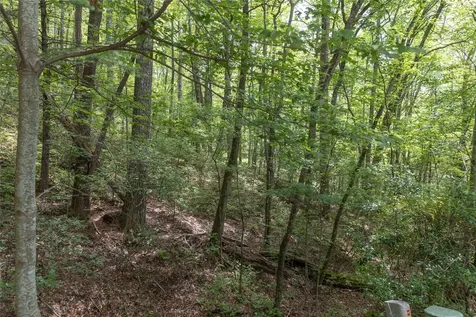 Lot 35 Buckberry N Sapphire NC 28774