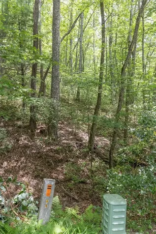 Lot 35 Buckberry N Sapphire NC 28774