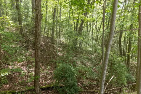 Lot 35 Buckberry N Sapphire NC 28774