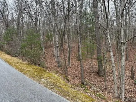 Lot 35 Buckberry N Sapphire NC 28774