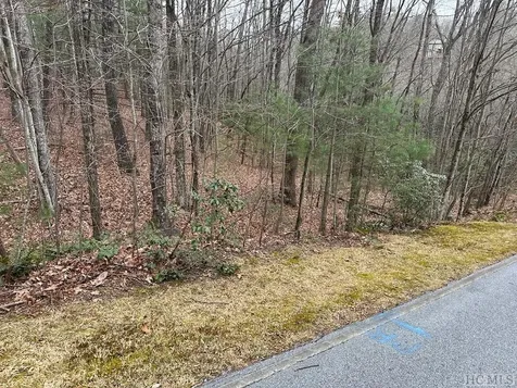 Lot 35 Buckberry N Sapphire NC 28774