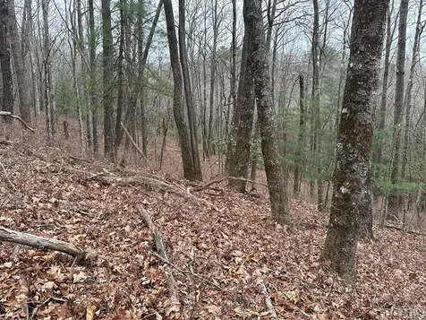 Lot 35 Buckberry N Sapphire NC 28774