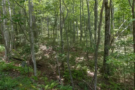 Lot 35 Buckberry N Sapphire NC 28774