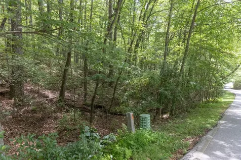 Lot 35 Buckberry N Sapphire NC 28774